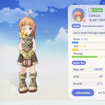 Ragnarok: The New World Accounts Sv Eddga |Unverif|Lvl 65 Priest|M Atk 511,Max SP 1804|1 SSR Pet ( Dawn )|Wp+8|51 Pet Tag