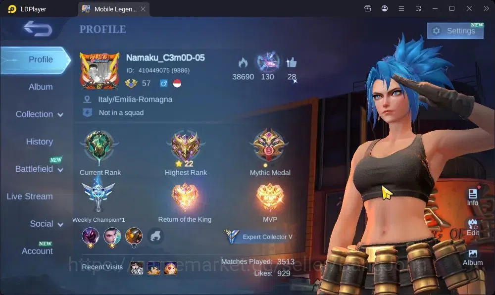 Mobile Legends: Bang Bang Accounts Collector Global|Hero 99|Skin 131|Seasoned|KOF Karina|SABER Rafaela|Epic 1