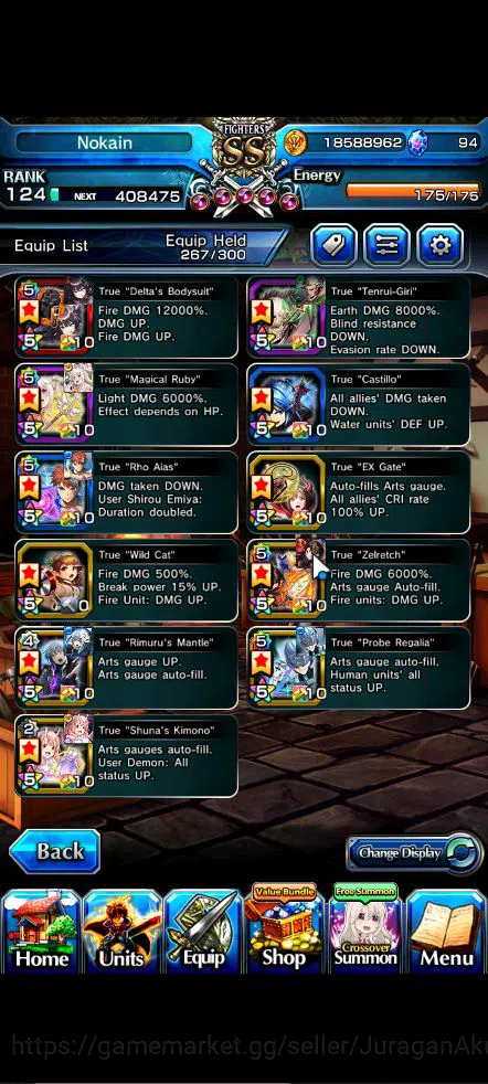 Grand Summoners Accounts Starter Global|Rank 124|19 Ascend |[Houka,Shirou,Illya,NBMira,Chloe,Summer Luvia&Rin,Fabricator]+TW 6