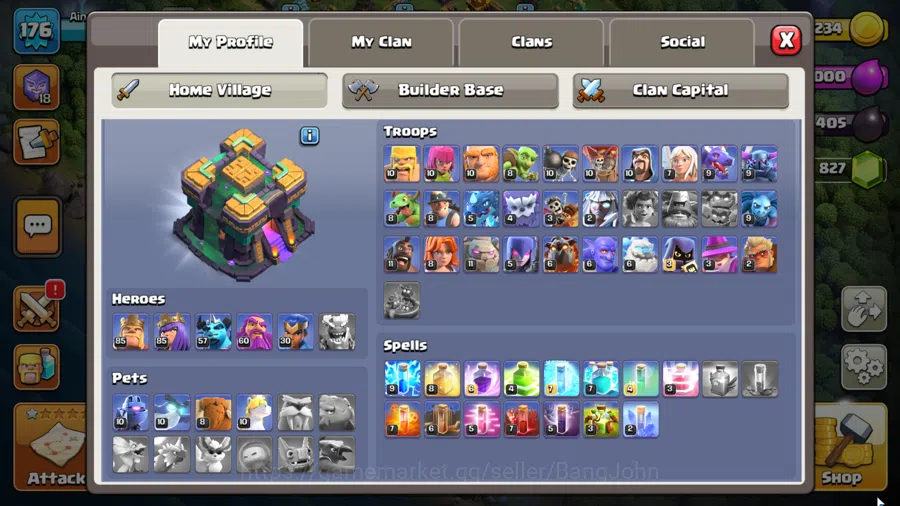 Clash of Clans Accounts TH 14 MAX-BH 8|LVL 176|League Witch 18|HH 8|BK 85, image 2