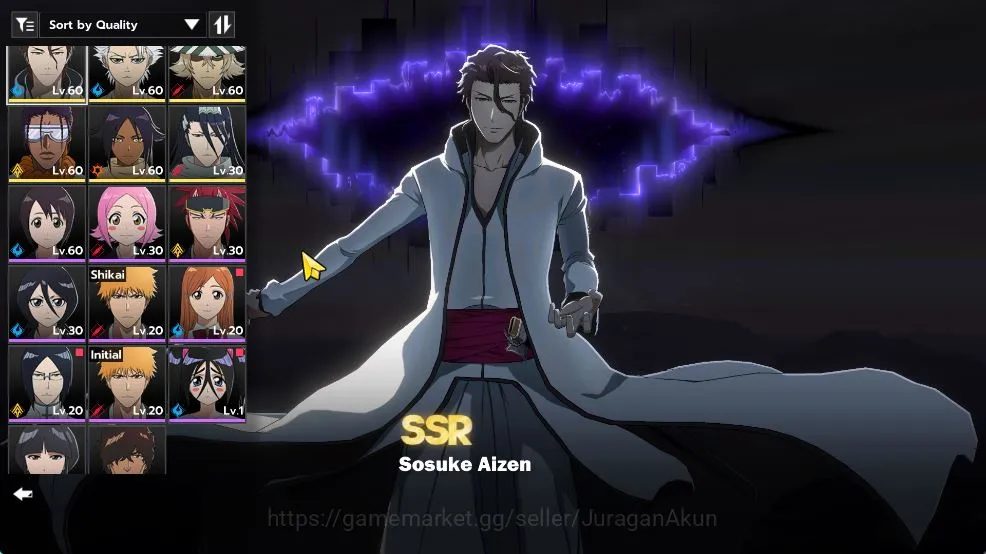 BLEACH: Soul Resonance Accounts NuverseSEA|Lv49|6 2