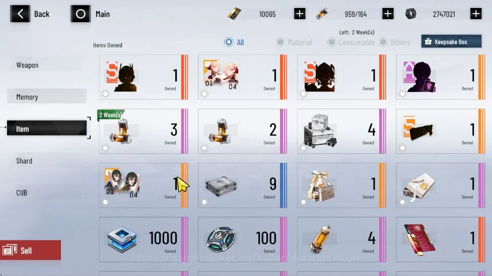 Punishing: Gray Raven Accounts NA | 10K BC + 3K GoldenCard + 8K BlueCard | LuciaC image 2