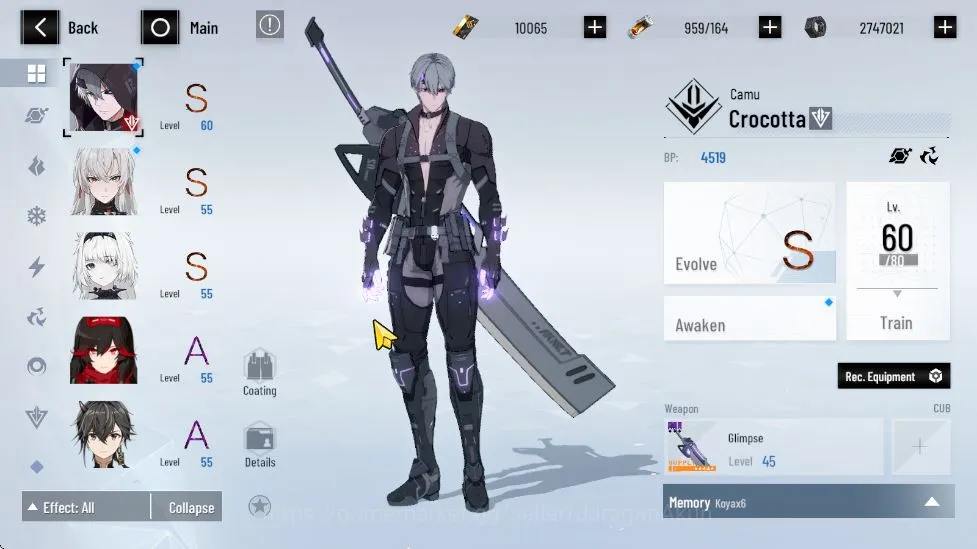 Punishing: Gray Raven Accounts NA | 10K BC + 3K GoldenCard + 8K BlueCard | LuciaC image 5