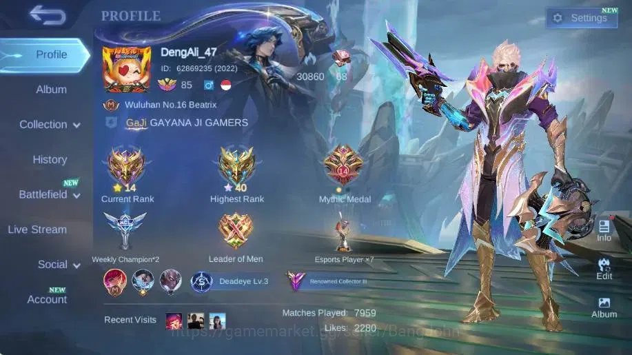 Mobile Legends: Bang Bang Accounts Collector Global|Skin 314|Renowned|KOF Karina,Collector Natalia,Lightborn 1