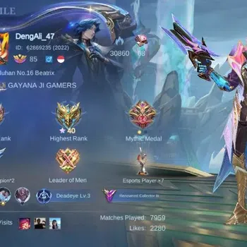 Mobile Legends: Bang Bang Accounts Collector Global|Skin 314|Renowned|KOF Karina,Collector Natalia,Lightborn