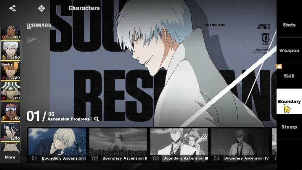 BLEACH: Soul Resonance Accounts NuverseSEA LV 67|11 SSR 16