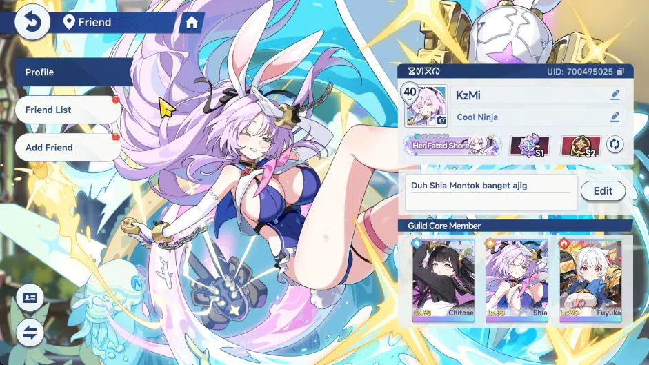 Stella Sora Accounts GLOBAL LV40|11SSR 3Limit(Chitose+Disc,Snowish Laru,Fuyuka+Disc,Firenze,Freesia+Disc,etc)|16SSR 2
