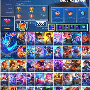 Mobile Legends: Bang Bang Collector #3746 289 Skins | Legend Gusion | Collector Natali image 1