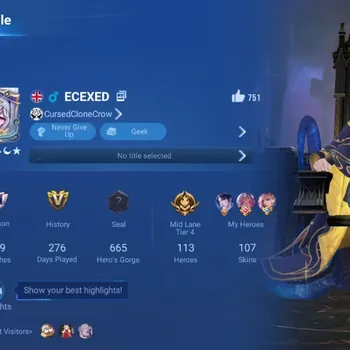 Honor of Kings Accounts Rare Skin Global|113H