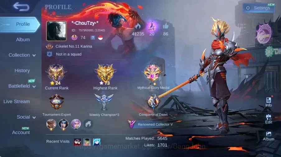 Mobile Legends: Bang Bang Accounts Collector Global|Skin 221|Renowned|KOF Karina,Collector Natalia,STAR ANUAL Hayabusa,PACE 1