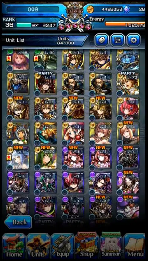Grand Summoners Accounts Mid-Game Global|Rank 36|16 Ascend|Paladin Roy,Summer Miyu,Kirisame,Chloe TW,Rin&Luvia TW,Sanageyama 8