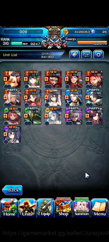 Grand Summoners Accounts Mid-Game Global|Rank 36|16 Ascend|Paladin Roy,Summer Miyu,Kirisame,Chloe TW,Rin&Luvia TW,Sanageyama 2