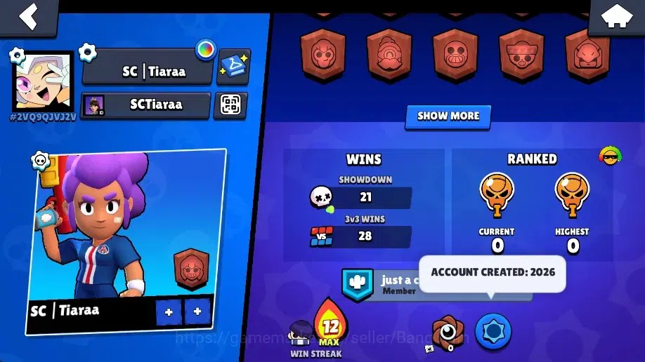 Brawl Stars Accounts Global | 1078 Thropy|16 Brawler|2 Max Lv Hyperchar image 3