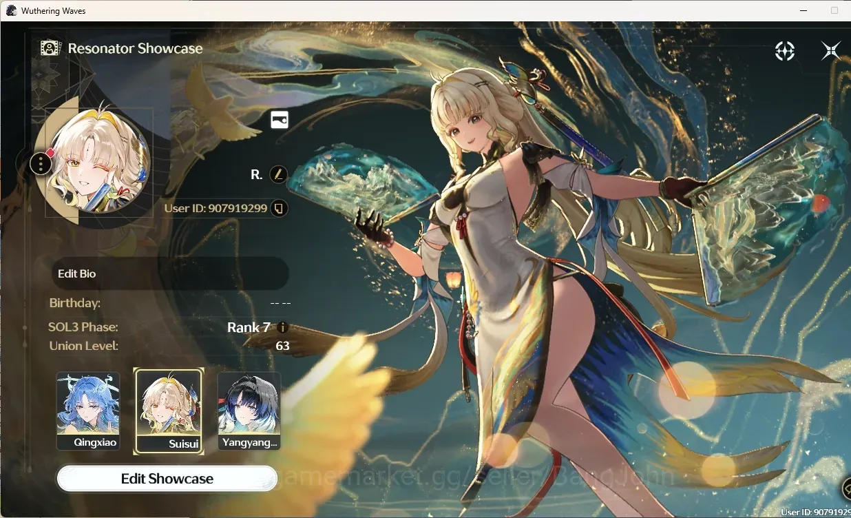 Wuthering Waves Accounts Starter SEA|UL 63|Rank 7|7 Char Limited 1