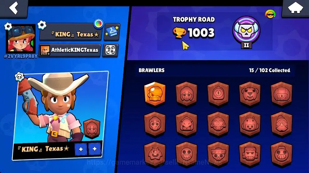 Brawl Stars Accounts 1003 Trophy|15 Brawlers 4 Max Lvl [Edgar,Stu,Frank image 9