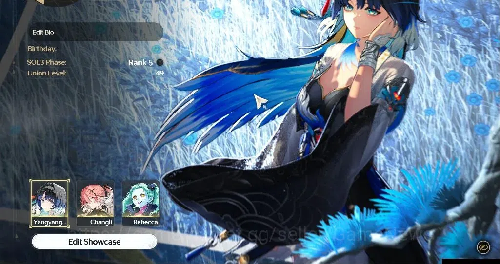 Wuthering Waves Accounts Starter EU|UL 49|3 Limited|(Yangyang:Xuanling RC 6)+Sign Changli,Rebecca+2 Standard Char|DB Lvl 1