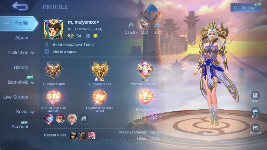 Mobile Legends: Bang Bang Accounts Others Global|Hero 115|Skin 182|Expert|Collector Natalia,Lbox Selena,PACE Fanny,Blazing 1