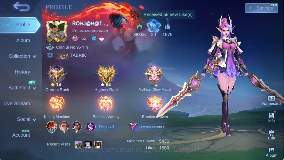 Mobile Legends: Bang Bang Accounts Collector Global|Skin 210|Renowned|Collector 1