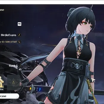 Wuthering Waves Accounts Starter NA |UL 45|Ready Gacha|66.861 Astrite, 9 Radiant, 141 Lustrous Tide|1 Std Verina|DB Lvl