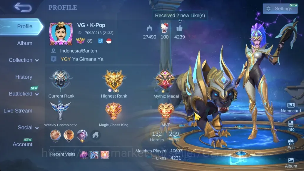 Mobile Legends: Bang Bang Accounts Collector Hero 132|Skin 209|KoF Karina,LBorn Tigreal,Zodiac 1