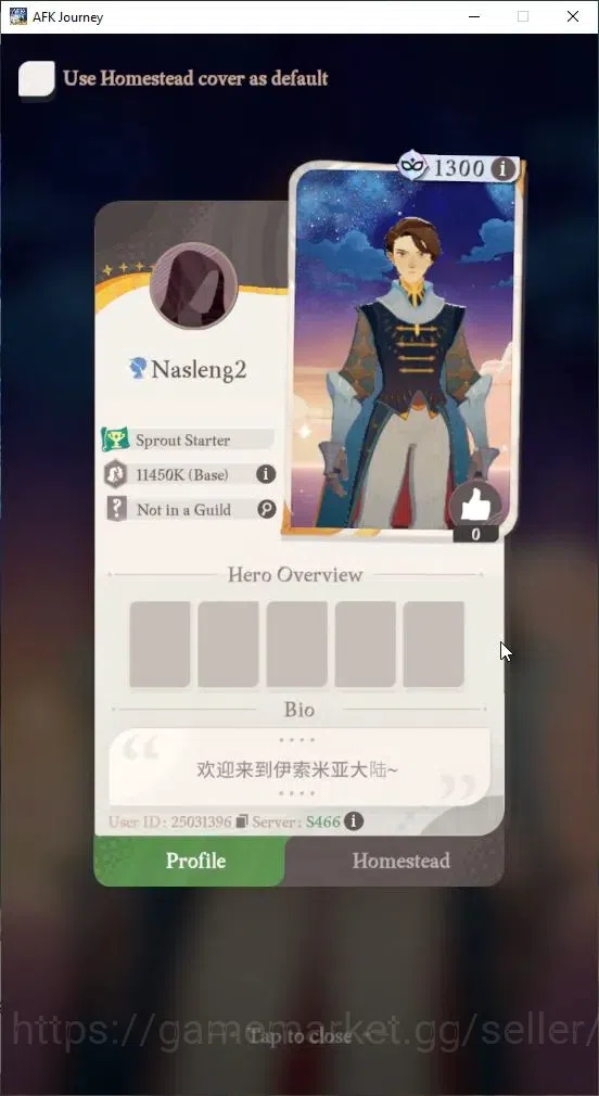 AFK Journey Accounts GLOBAL S466|Ready Gacha|6 Hero Selector|29 S Char[ image 5