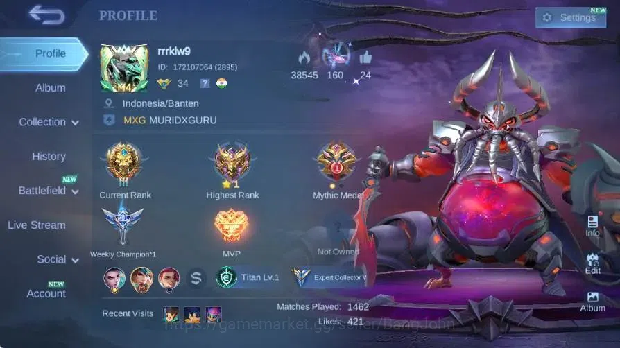 Mobile Legends: Bang Bang Accounts Global|Skin 94|Expert|Collector Natalia|Lightbron  image 13