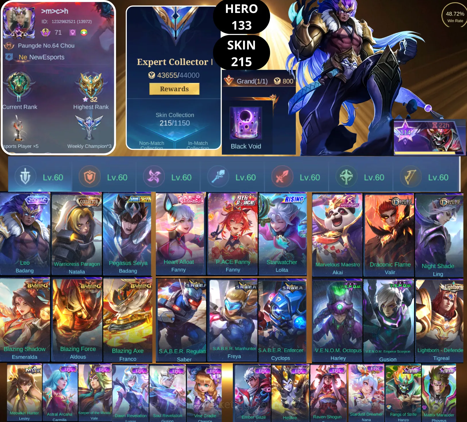 Mobile Legends: Bang Bang Accounts Rare Skin BEST OFFER | HERO 133 | SKIN 215 | BADANG LEO | NATALIA WARRIORESS PARAGON 1