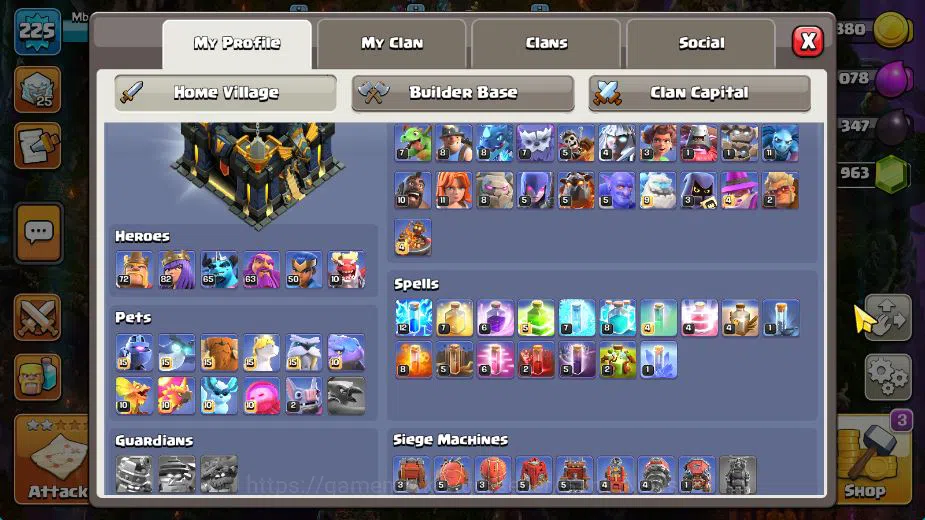Clash of Clans Accounts TH 17-BH 10|Near MAX|LV 225|HH 11|BK 73,AQ 83,GW 6 image 3