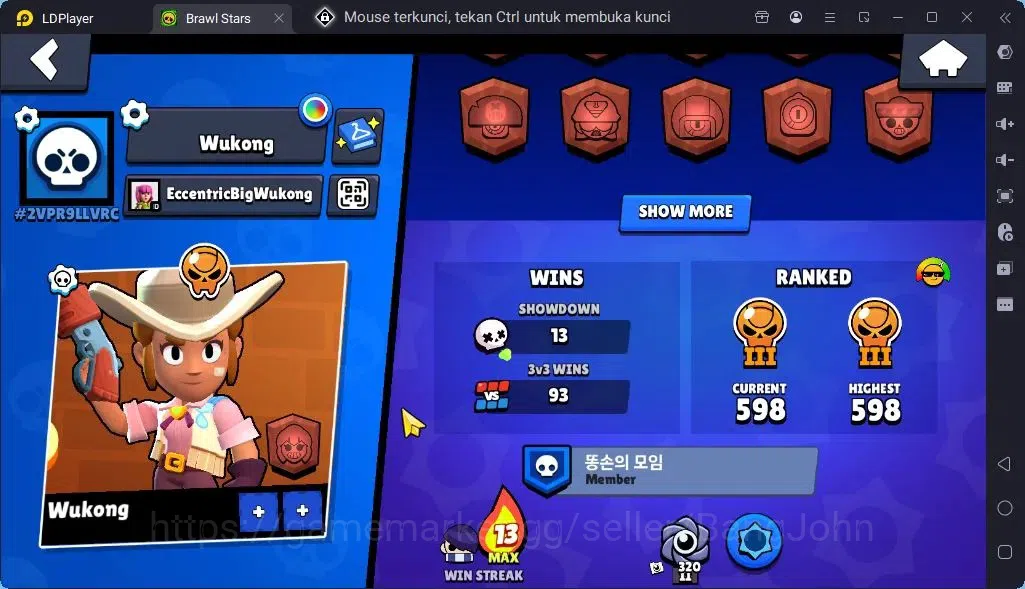 Brawl Stars Accounts Global |Trophy 1451 | Brawler 26, 4 Max | Skins 1Legendary 2 Mythic,3 Epic|Bling 7856|Protect Off|Check 3