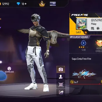 Free Fire Accounts Indonesia|2 Evo