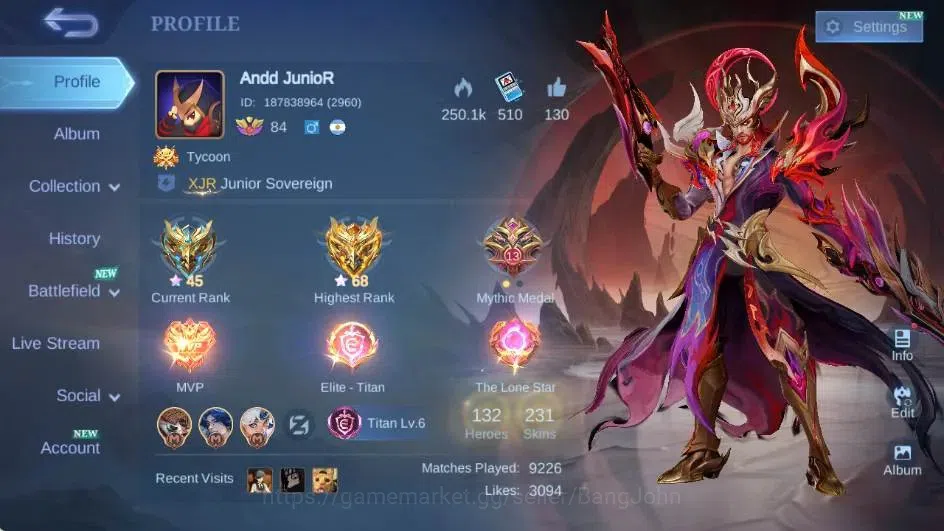 Mobile Legends: Bang Bang Accounts Global|Hero 132|Skin 231|Renowned|Collector Natali image 14