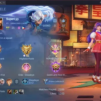 Mobile Legends: Bang Bang Collector Global|Skin 125|Expert|Prime Granger|KOF Karina,Gu image 1
