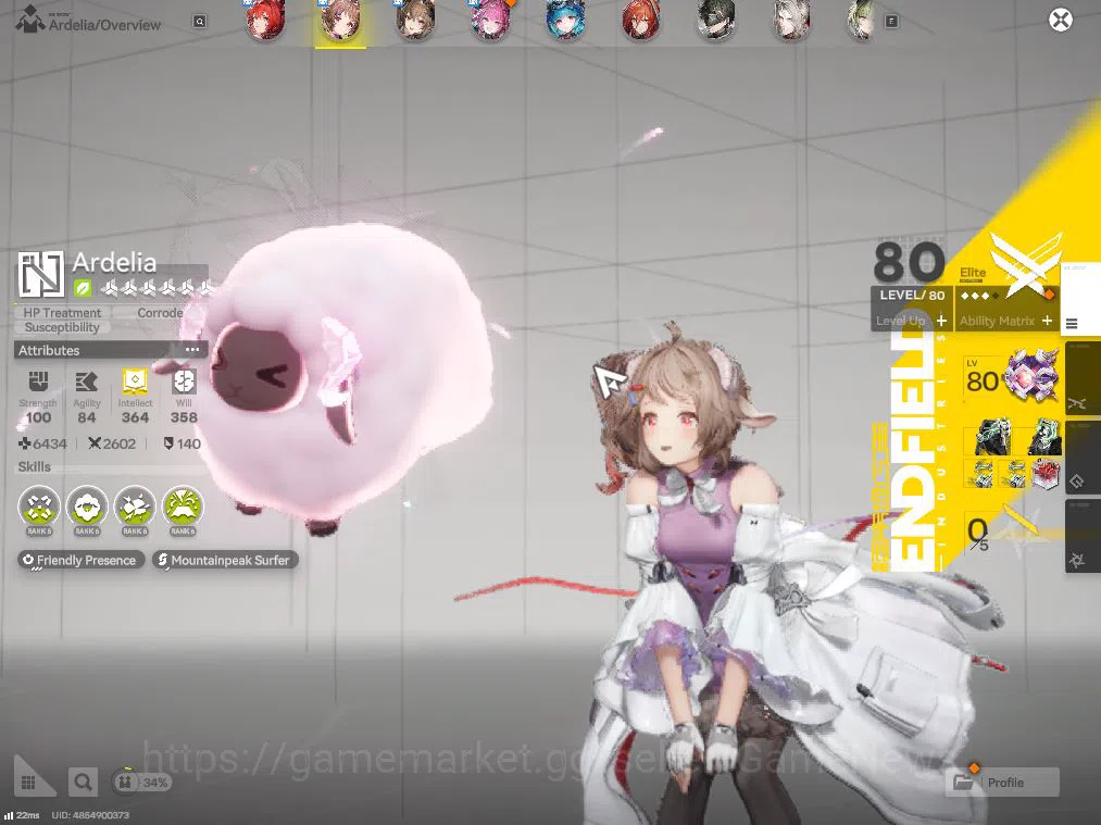 Arknights: Endfield Accounts 4
