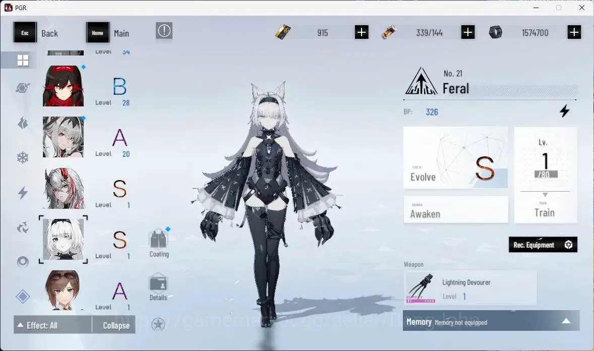 Punishing: Gray Raven Accounts ASIA | S Lucia CW,S Kamui T,S Lucia IC,S Feral+Sig image 11