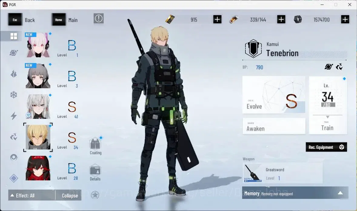 Punishing: Gray Raven Accounts ASIA | S Lucia CW,S Kamui T,S Lucia IC,S Feral+Sig image 13