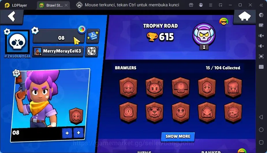 Brawl Stars Accounts Global |1 Max Hypercharge(Edgar)|1 Mythic,1 Epic Skin|615 Thropy|15 Brawler|2382 Bling+76 Gems 2