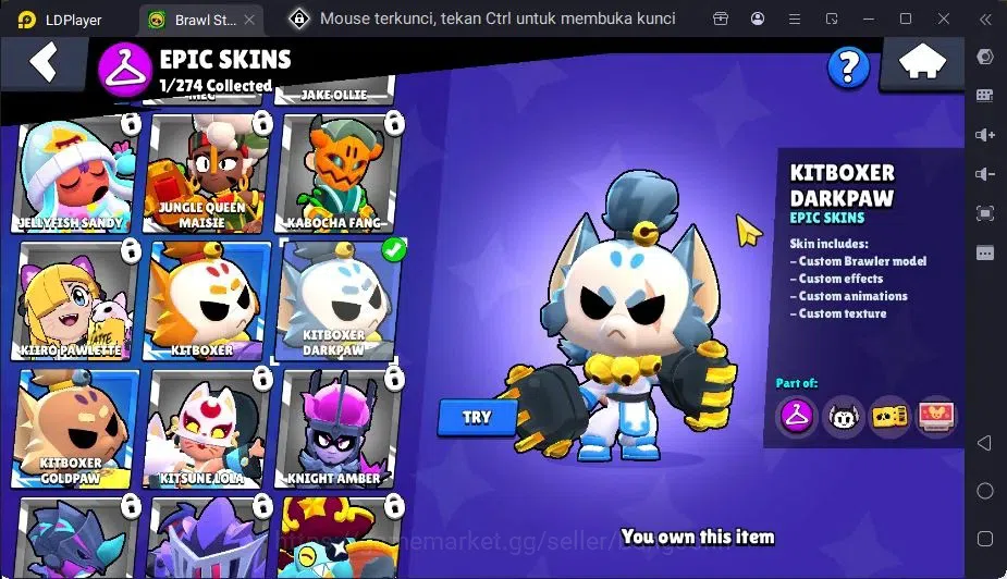 Brawl Stars Accounts Global |1 Max Hypercharge(Edgar)|1 Mythic,1 Epic Skin|615 Thropy|15 Brawler|2382 Bling+76 Gems 9