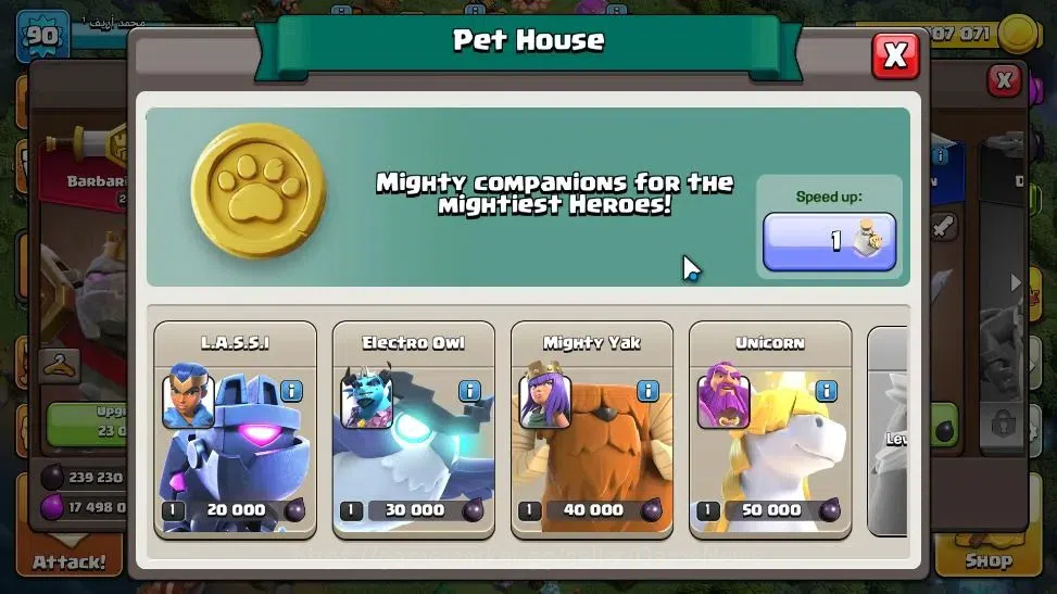 Clash of Clans Accounts LV 90|TH 14-BH 7|HH 7|Limited Skin|BK 23,AQ 24,GW  image 13