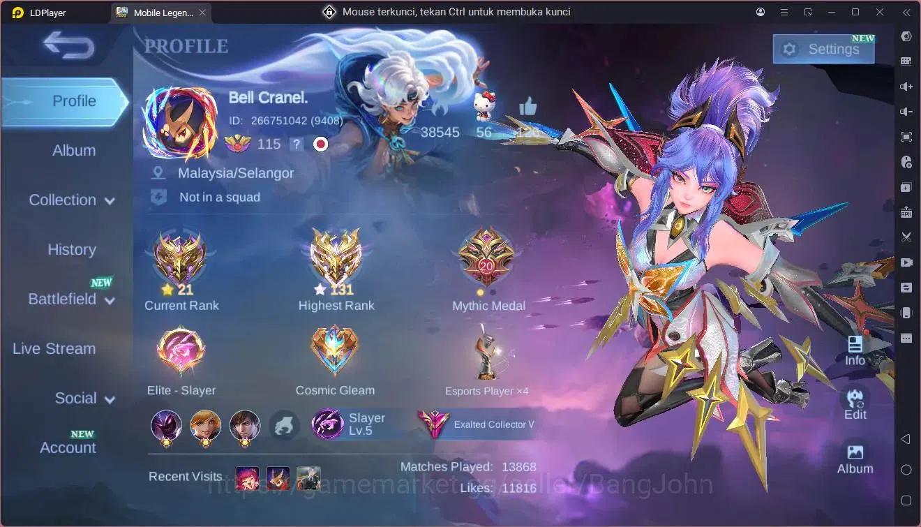 Mobile Legends: Bang Bang Accounts GLOBAL Hero 132 Skin 334|Legend Fanny,Gusion|KOF d image 17