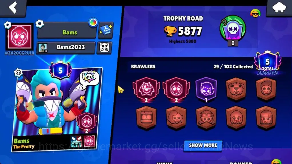 Brawl Stars Accounts 5877 Trophy|2,4K Bling|29 Brawlers 3 Max Lvl |9 Ep image 2