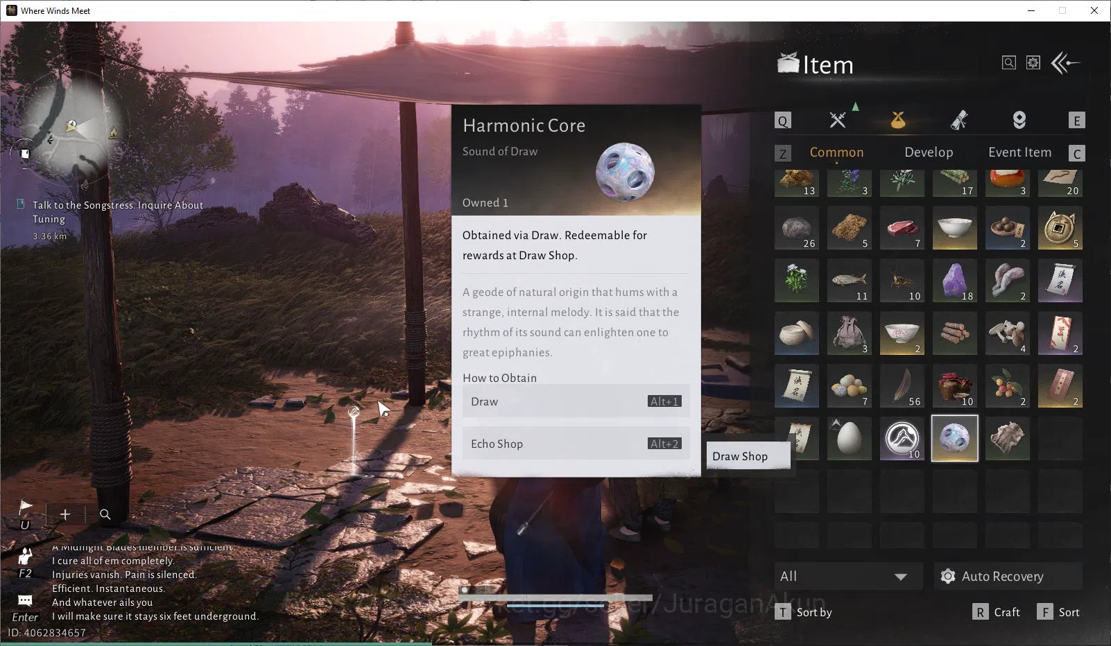 Where Winds Meet Accounts GLOBAL Starter Lv 47|GS 7k|1 Harmonic Core with In image 4