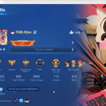 Honor of Kings Accounts Rare Skin Global Highend|115H 314SKIN|3 Flawless,2Mythic,Many Legendary and Collab