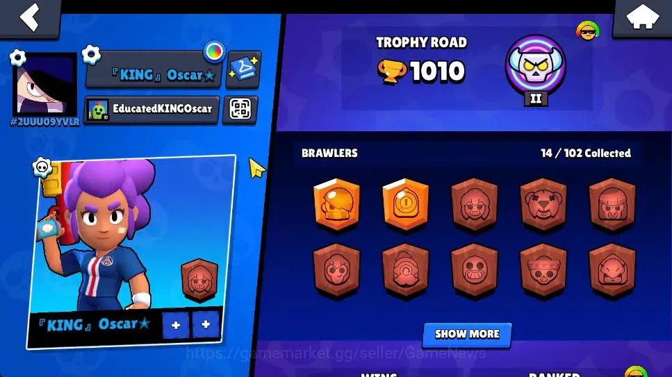 Brawl Stars Accounts 1010 Trophy|4,3K Bling|14 Brawlers 3 Max Lvl [Shel image 2