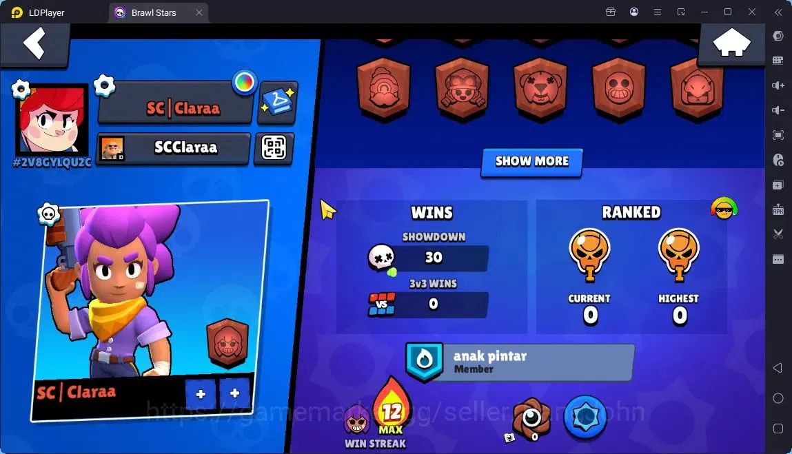 Brawl Stars Accounts Global |Trophy 736|13 Brawler|1 Max Hypercharge(Shelly)|Skins 3 S Rare,1Epic|1080 Bling|27 Gems 3