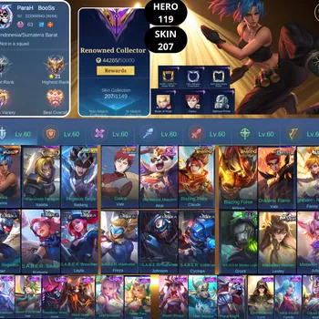 Mobile Legends: Bang Bang Accounts Smurf BEST OFFER | HERO 119 | SKIN 207 | LEONA KARINA | WARRIORESS PARAGON NATALIA