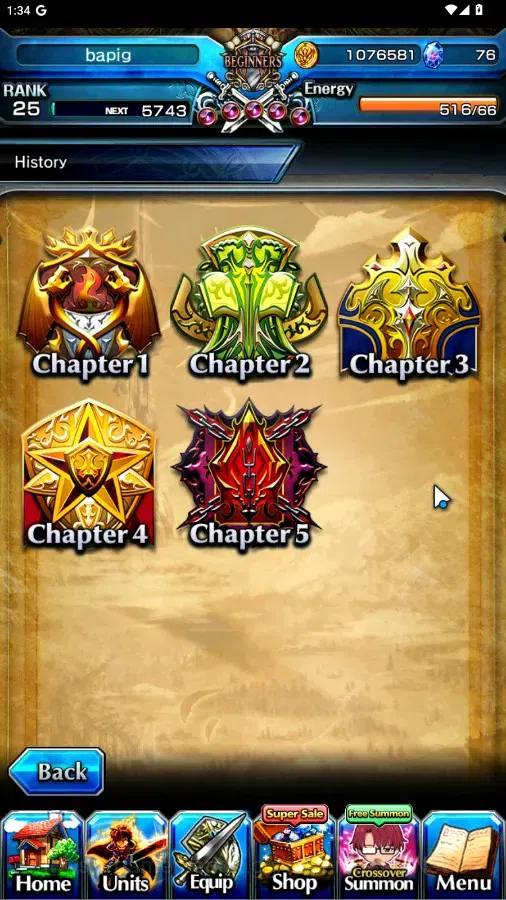 Grand Summoners Accounts Global|Rank 25|3 Ascend+1 TW (Choi Jong In)+TW,Sai image 9