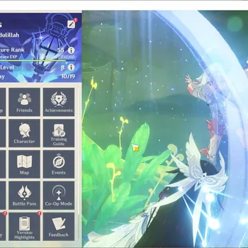 Genshin Impact Accounts Others ASIA|AR 55|6 Limit Char+2(*5Wpn)|Premium Flins (Flins