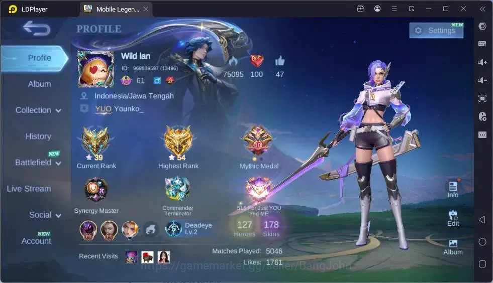 Mobile Legends: Bang Bang Accounts Global|Hero 122|Skin 178|Expert|Collector Natalia| image 14