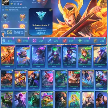 Mobile Legends: Bang Bang Accounts Others HERO 55 SKIN 56 | EMBLEM GOOD | COLECTOR PHARSA| EPIC ROGER | HERO GOOD| SKIN