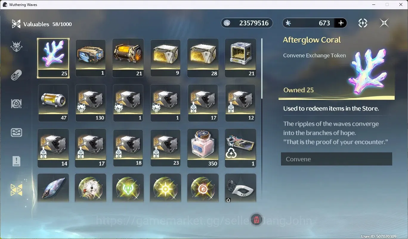Wuthering Waves Accounts NA|UL 49|Rank5|2 Char Limited [Hiyuki RC4]+Sign, R image 10